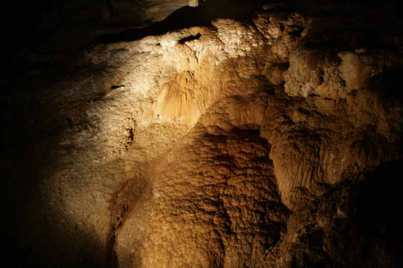 Nieuw-Zeeland 2011 - 0557